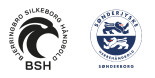 Bjerringbro-Silkeborg vs. Sønderjyske Herrehåndbold