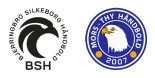 Bjerringbro-Silkeborg vs. Mors-Thy Håndbold